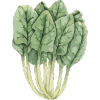 theplantfulway.de