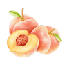 theplantfulway.de