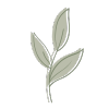 theplantfulway.de