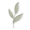 plantfulway.de