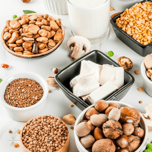 Bunte Auswahl an pflanzlichen Proteinquellen für eine gesunde vegane Ernährung in der Familie – nährstoffreiche Lebensmittel für Kinder und Erwachsene