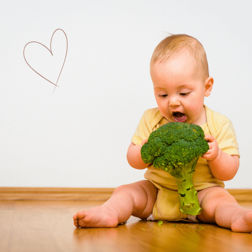 Bunte Auswahl an pflanzlichen Proteinquellen für eine gesunde vegane Ernährung in der Familie – nährstoffreiche Lebensmittel für Kinder und Erwachsene
