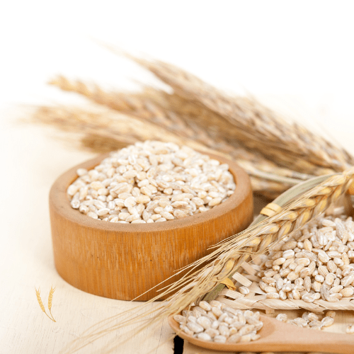 Vollkornprodukte in der veganen Familienküche – nährstoffreiche Getreidearten wie Hafer, Dinkel und Hirse für gesunde, pflanzliche Ernährung mit Ballaststoffen, Eisen und Zink