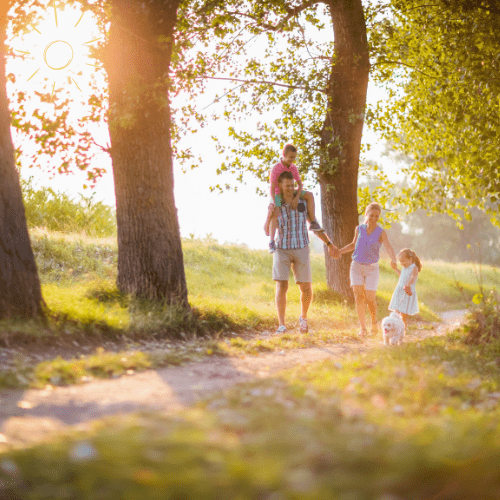 Vegane Nährstoffe für Familien: pflanzliche Lebensmittel als Quelle für Eisen, B12, Omega-3, Calcium und mehr in der Familienküche