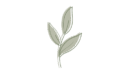 theplantfulway.de