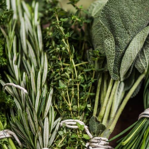 Entdecke vegane Ernährung für Familien: fundiertes Wissen, einfache Rezepte und alltagstaugliche Tipps für eine gesunde, pflanzliche Lebensweise