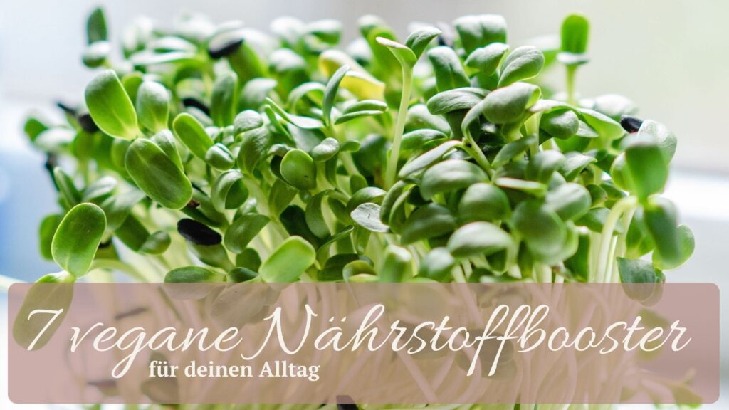 Gesunde vegane Zutaten wie Kräuter, Samen und Hefeflocken machen pflanzliche Mahlzeiten nahrhafter – einfach, unkompliziert und familientauglich.
