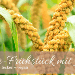 Power-Frühstück mit Hirse: Vegan, gesund & eisenreich Entdecke, wie du mit veganem Hirse-Porridge voller Eisen und pflanzlicher Nährstoffe gesund und lecker in den Tag startest. Schritt-für-Schritt-Rezept, Tipps & Variationen für die ganze Familie.