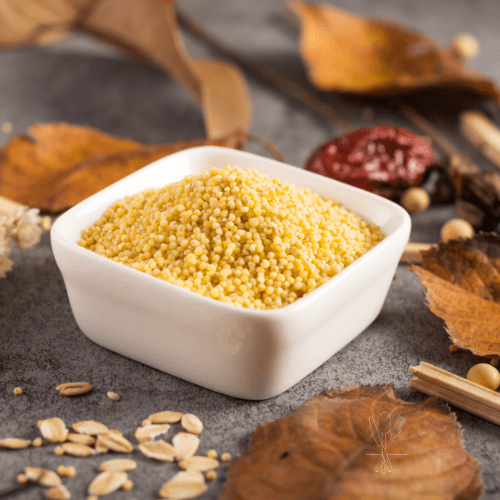 Entdecke, wie du mit veganem Hirse-Porridge voller Eisen und pflanzlicher Nährstoffe gesund und lecker in den Tag startest. Schritt-für-Schritt-Rezept, Tipps & Variationen für die ganze Familie.