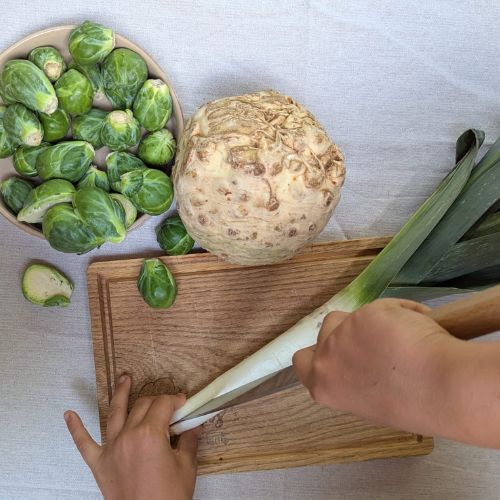 Gesunde vegane Winterrezepte für Familien – wärmende pflanzliche Gerichte