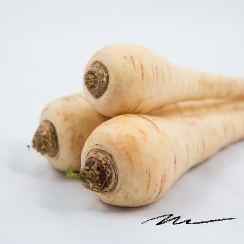 Gesunde vegane Winterrezepte für Familien – wärmende pflanzliche Gerichte