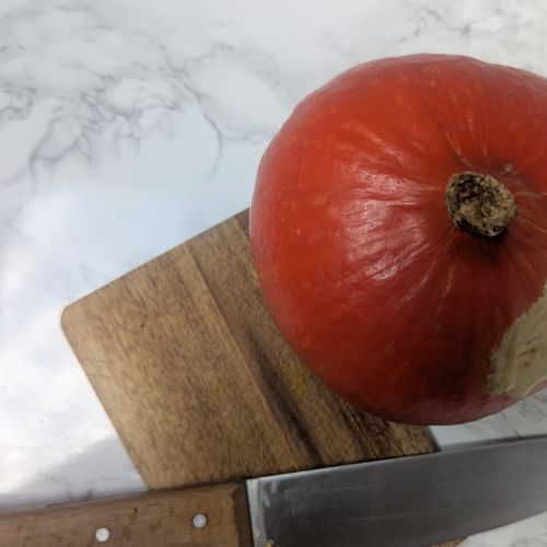 Gesunde vegane Winterrezepte für Familien – wärmende pflanzliche Gerichte