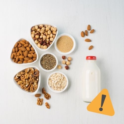 Vegane Ernährung für Kinder – liebevolle, stressfreie Tipps für den Familienalltag.
