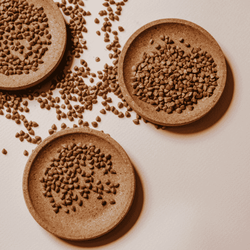 Pseudogetreide wie Hirse, Quinoa, Amaranth und Buchweizen – glutenfrei, proteinreich und vegan