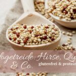 Pseudogetreide: Hirse, Quinoa & Co. – glutenfrei & proteinreich Pseudogetreide wie Hirse, Quinoa, Amaranth und Buchweizen – glutenfrei, proteinreich und vegan