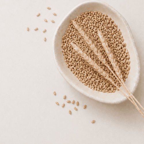 Vegane, nährstoffreiche Lebensmittel für Frauen wie gesunde Fette, Protein und vollwertige Zutaten zur Unterstützung von Zyklus, Hormonen und stabiler Energie im Alltag