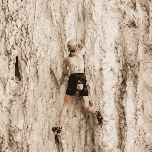 Gesunde vegane Ernährung in der Follikelphase mit frischen Lebensmitteln wie Obst, Gemüse und pflanzlichen Zutaten für mehr Energie im weiblichen Zyklus